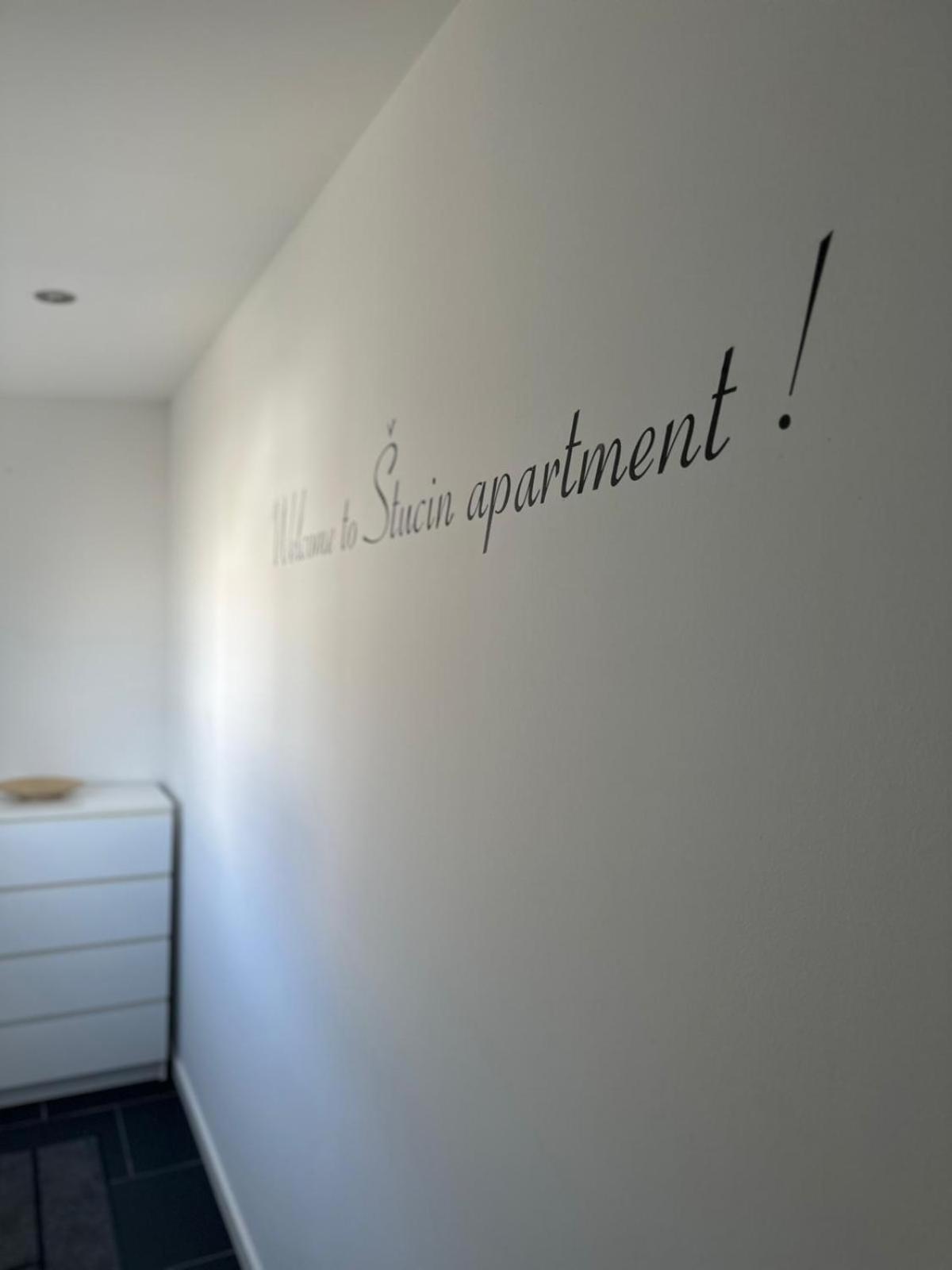 Apartment Stucin Vipava Extérieur photo